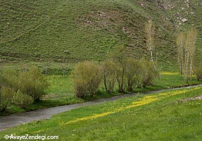  یک چشمه شگفت انگیز در سردشت 