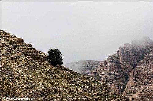  روستایی اسفیدان؛ زیباترین روستای ایران را ببینید 