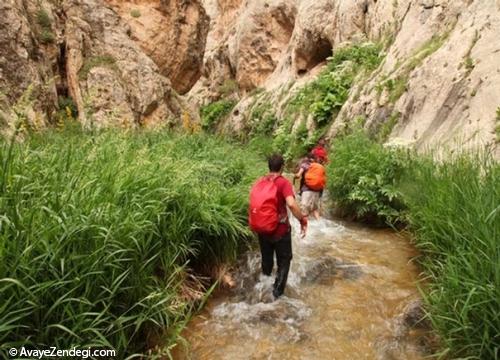 میشینه مرگ و لزور