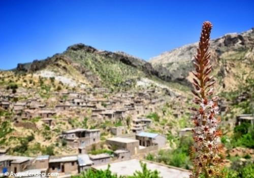 روستای زیبای لایزنگان 