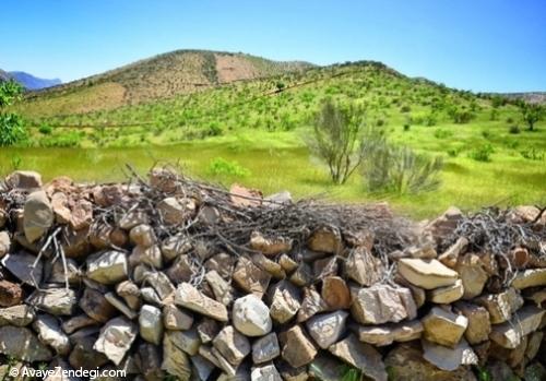 روستای زیبای لایزنگان 