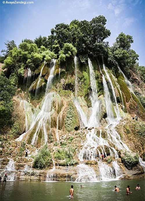 شنا در بیشه درود لرستان 