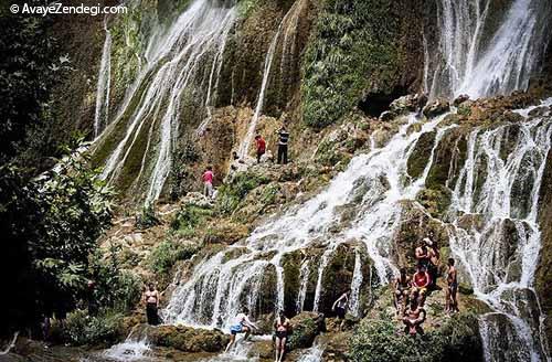 شنا در بیشه درود لرستان 