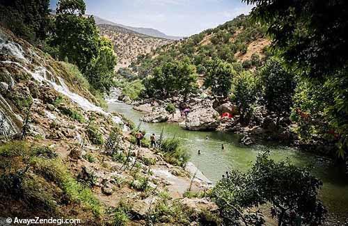 شنا در بیشه درود لرستان 