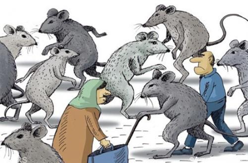 کاریکاتور ازدیاد موش های تهران 
