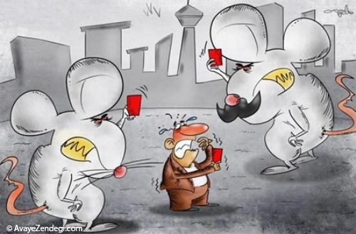 کاریکاتور ازدیاد موش های تهران 