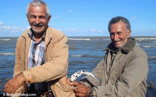  آغاز فصل ماهیگیری دریای خزر 