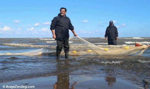  آغاز فصل ماهیگیری دریای خزر 