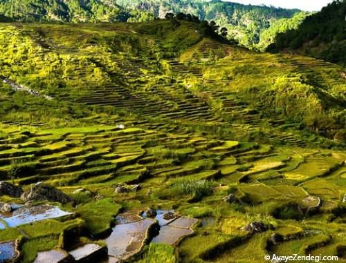 زیباترین جاذبه های گردشگری فیلیپین 