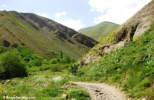 روستای آهار