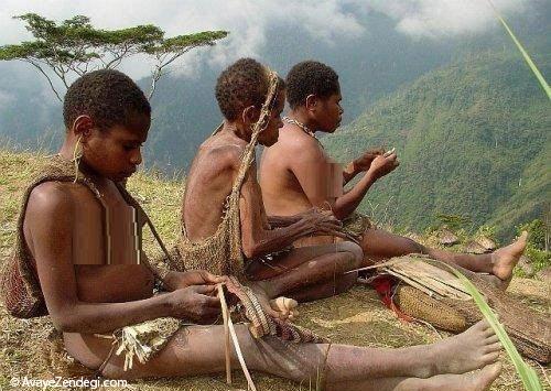 زندگی به سبک قبیله های آدم خوار! زندگی به سبک قبیله های آدم خوار!