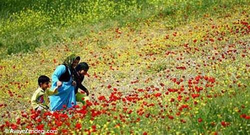 زیبایی‌های ایران: استان کردستان