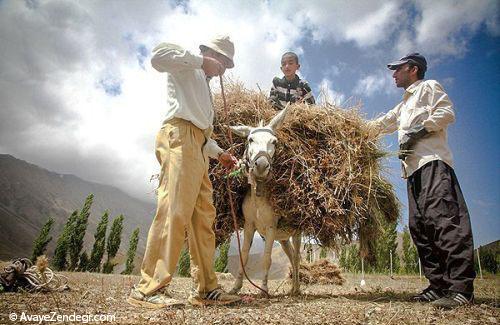 جاذبه گردشگری روستای وزنا قزقانچای 