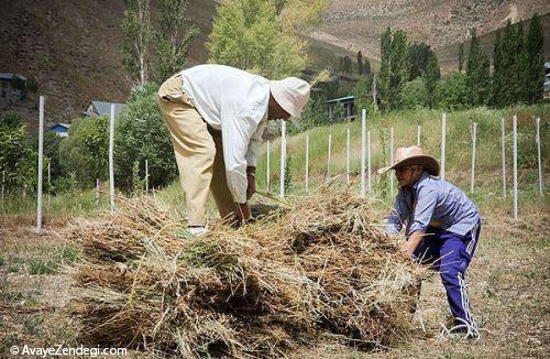 جاذبه گردشگری روستای وزنا قزقانچای 