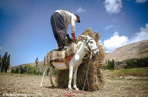 جاذبه گردشگری روستای وزنا قزقانچای 