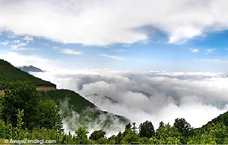  راهنمای طبیعت گردی در مازیچال 