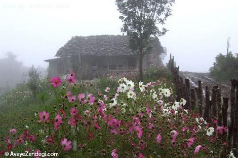  راهنمای طبیعت گردی در مازیچال 