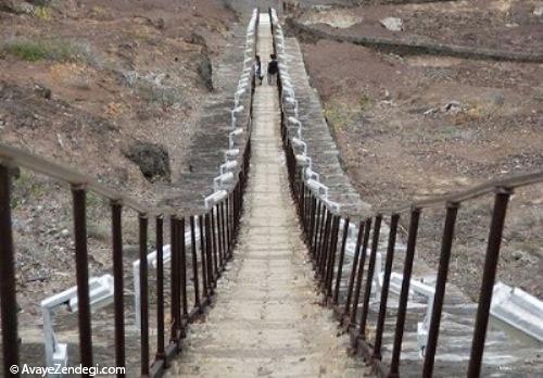 بلندترین راه پله جهان 