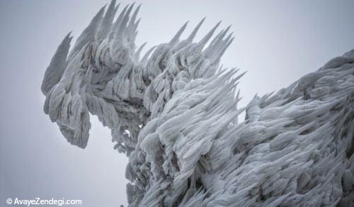 مجسمه های شگفت انگیز یخ زده 