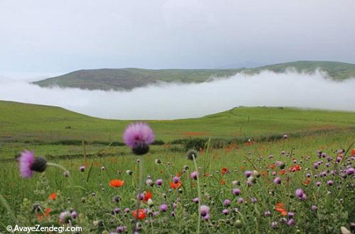 بهشت سرخ کجاست؟