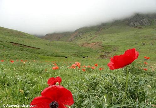 بهشت سرخ کجاست؟