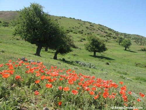  سمنان، سرزمینی با آثار باستانی چند هزار ساله (1) 