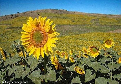  سمنان، سرزمینی با آثار باستانی چند هزار ساله (1) 