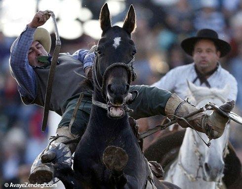  اسب سواری در اروگوئه 