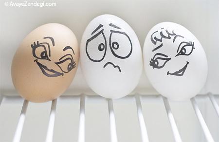 هنرنمایی با تخم مرغ