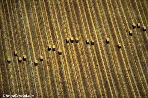  عکس های هوایی از مزرعه کشاورزی 