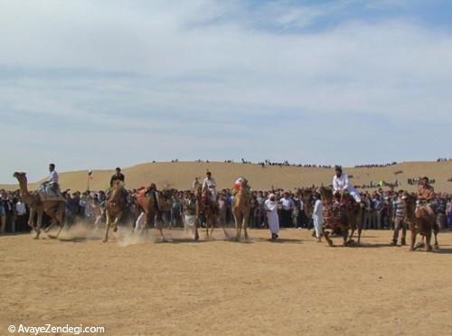 عکس جشنواره شترسواری در طبس