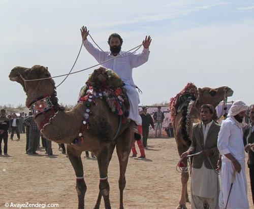 عکس جشنواره شترسواری در طبس