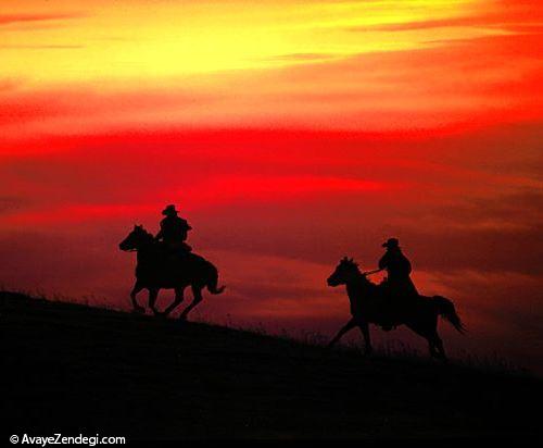  عکس اسب سواری (1) 
