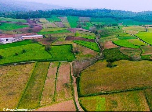  طبیعت هزار جریب نکا - مازندران 