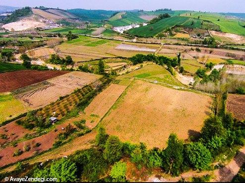  طبیعت هزار جریب نکا - مازندران 