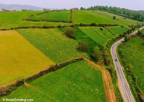  طبیعت هزار جریب نکا - مازندران 