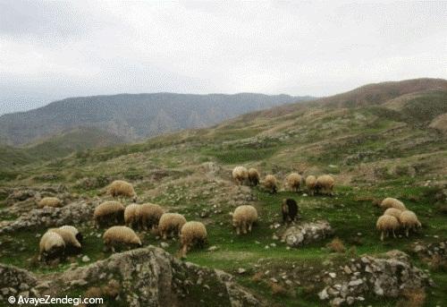  سیمره؛ بزرگترین محوطه تاریخی ایلام 