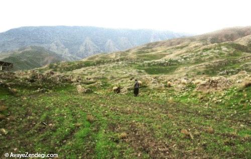  سیمره؛ بزرگترین محوطه تاریخی ایلام 