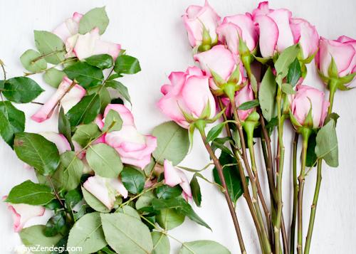  10 راز افزایش عمر گل های تازه 