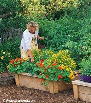 ترفند هایی برای باغبانی آسان‌ در خانه 