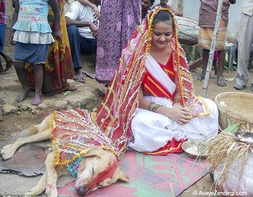  ازدواج دختر هندی با یک سگ! 