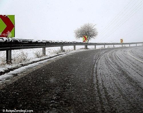  سرمای سپید در سنندج 