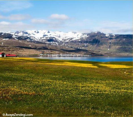  تصاویر زیبا از فصل بهار در سراسر جهان 