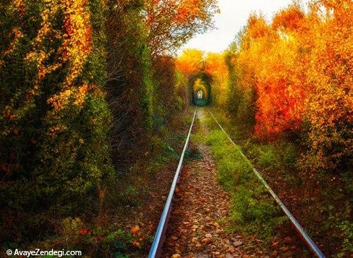  رومانی؛ مهد فرهنگ و زیبایی 