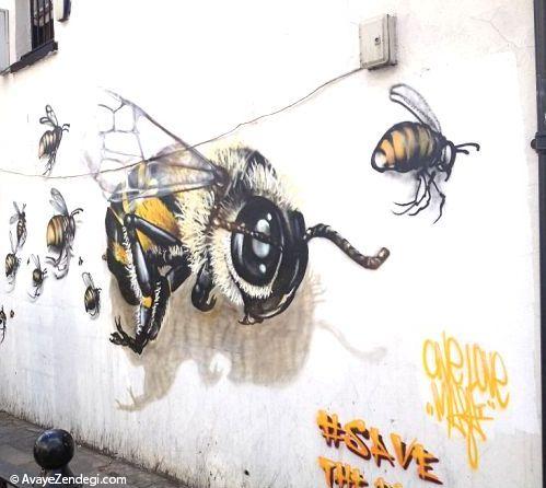  زنبورهای زیبا بر روی دیوارهای شهر 