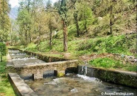  آشنایی با باغ زیبای هارون در کشمیر 