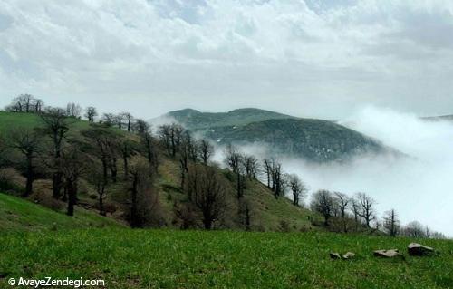 بهار شاهرود دیوانه تان می کند!