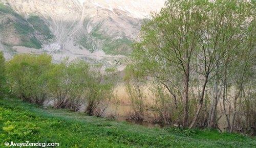 نگین ‌آبی زاگرس، منتظر کاشفان!