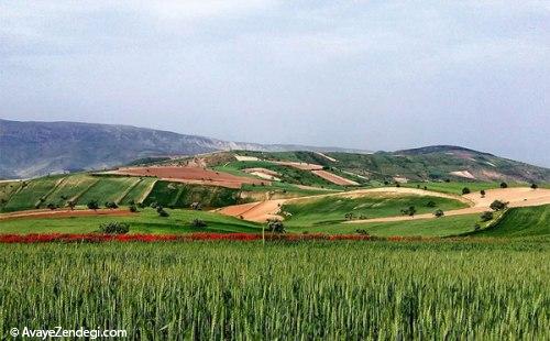 روستای قوردانلو