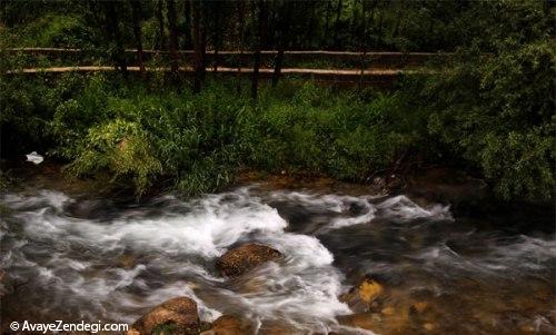 زندگی در «شول آباد»